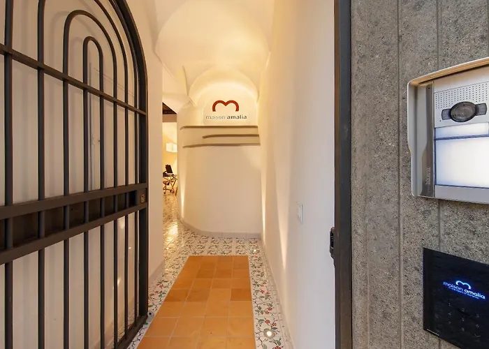 Πανσιόν Maison Amalia 4*